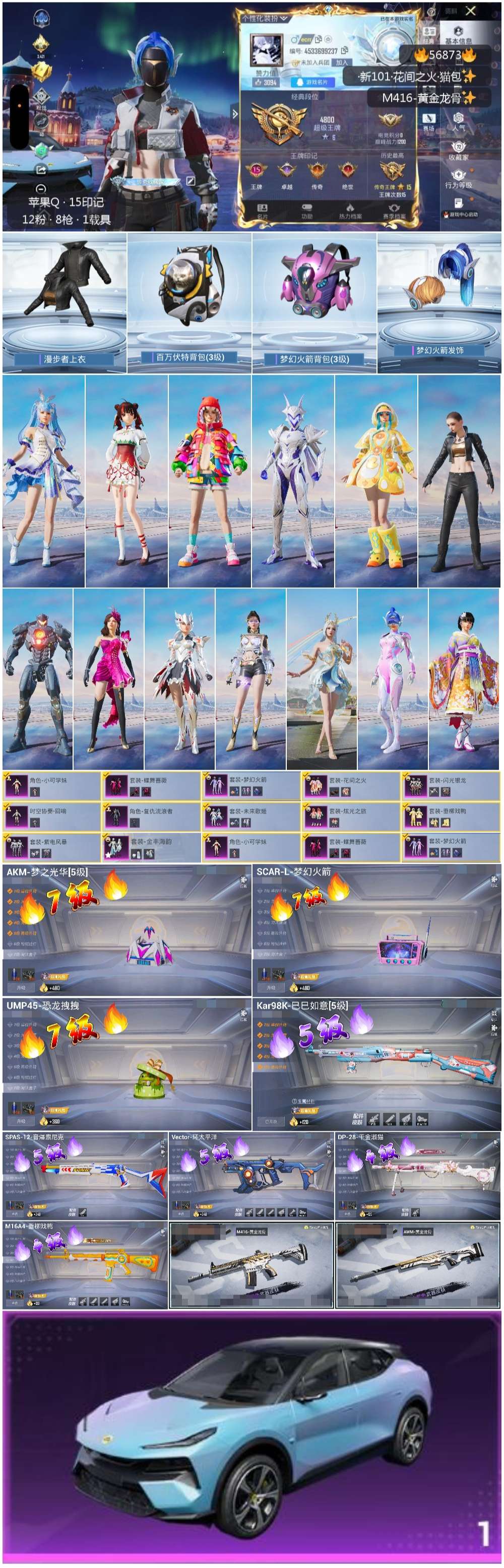 HPSJ417872和平精英账号详情图4