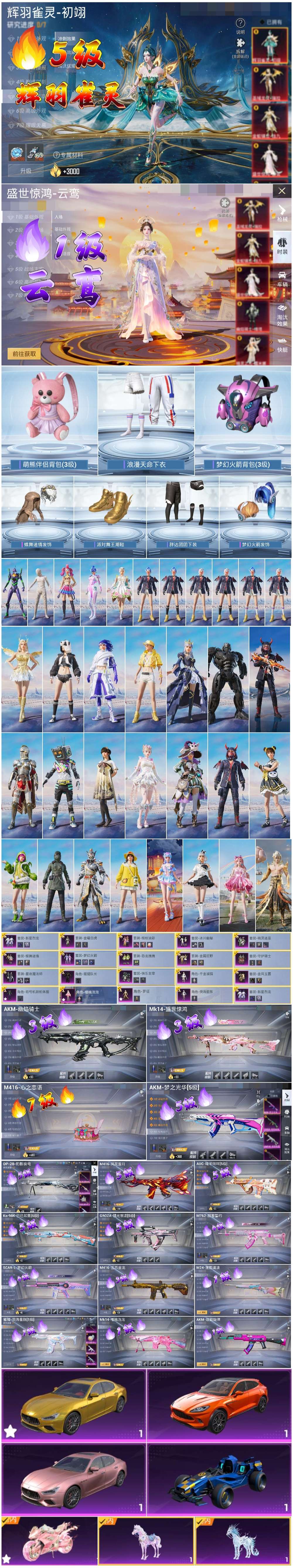 HPSJ417859和平精英账号详情图3