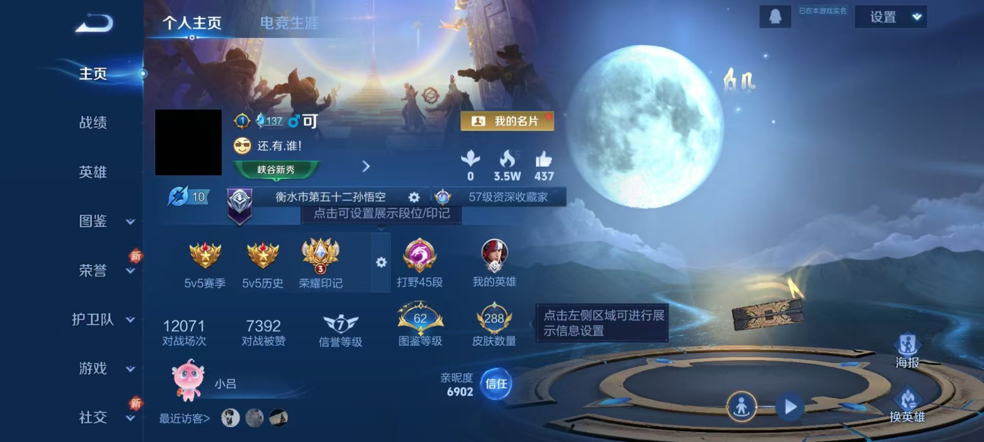 WZCMW437029王者荣耀账号详情图2