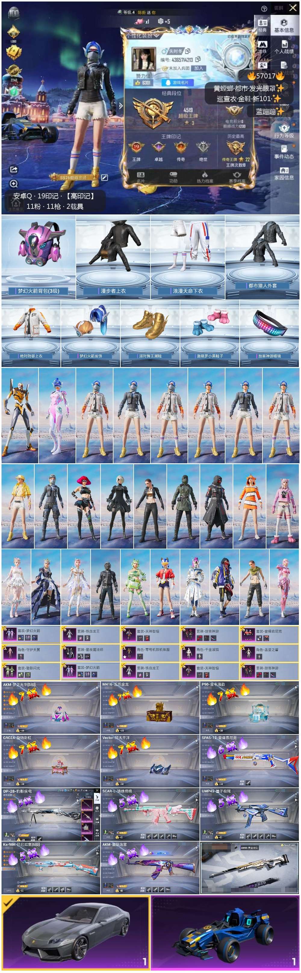 HPSJ420100和平精英账号详情图4 HPSJ420100和平精英账号详情图4