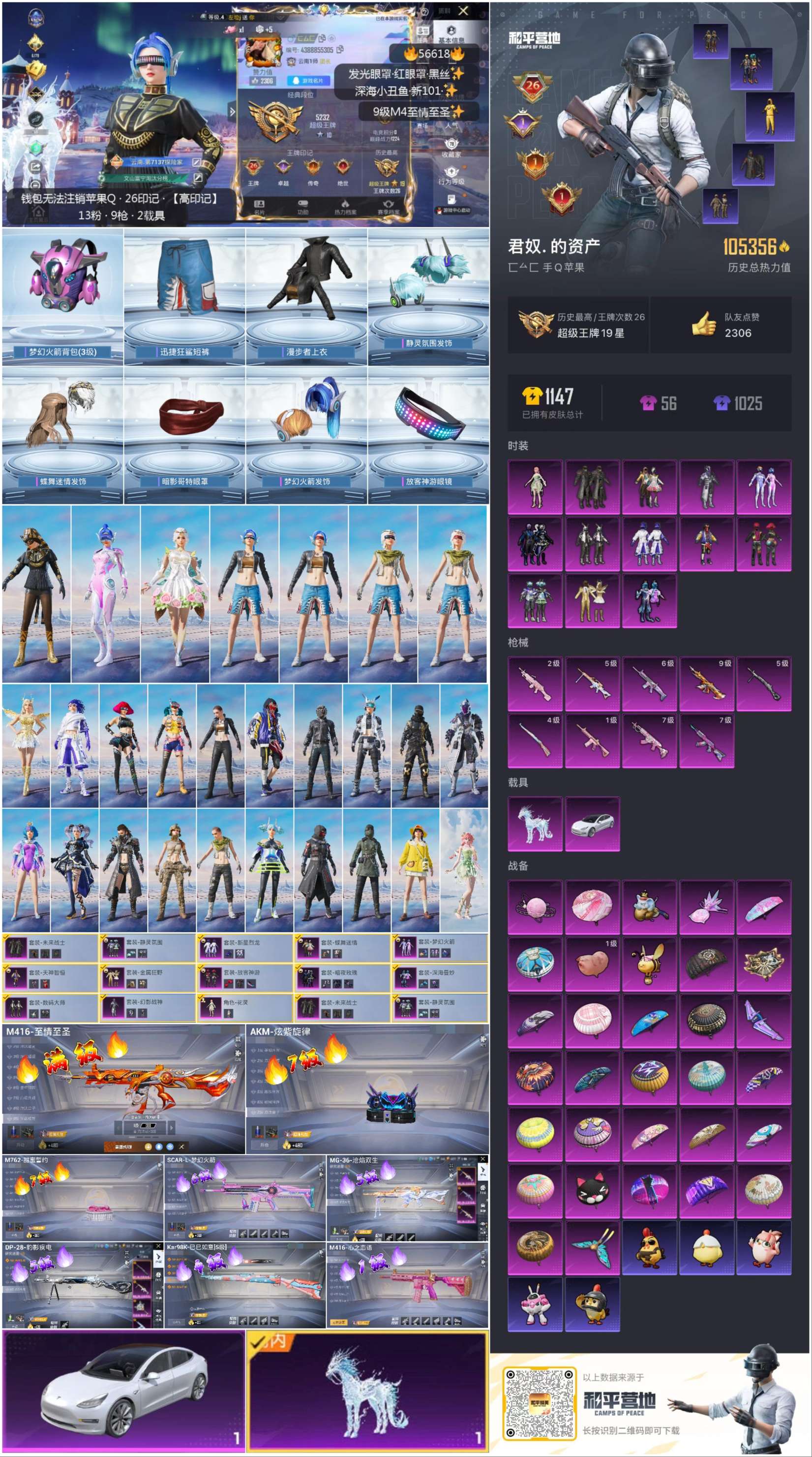 HPCMW421063和平精英账号详情图2