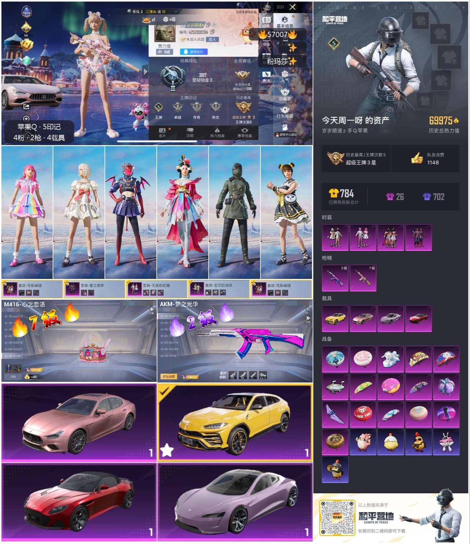 HPSJ420292和平精英账号详情图3 HPSJ420292和平精英账号详情图3