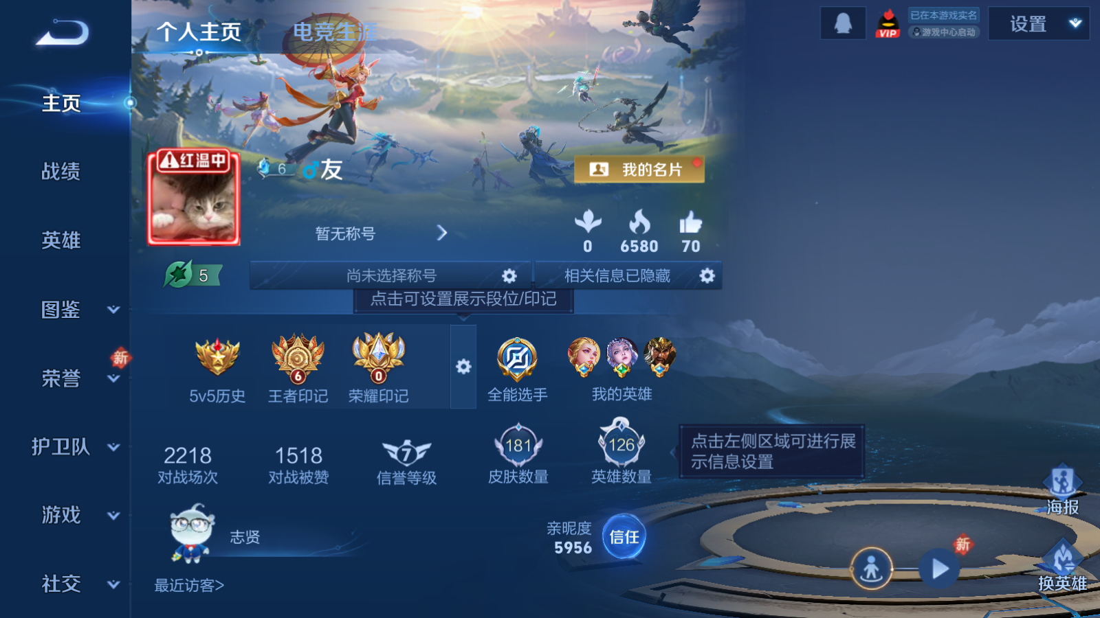 WZCMW455263王者荣耀账号详情图2