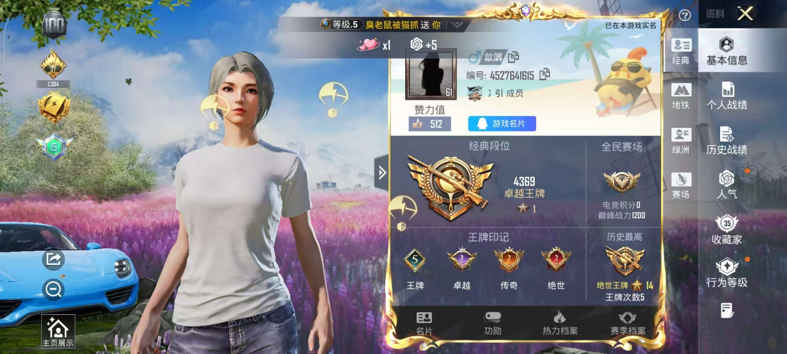 HPSJ424883和平精英账号详情图4