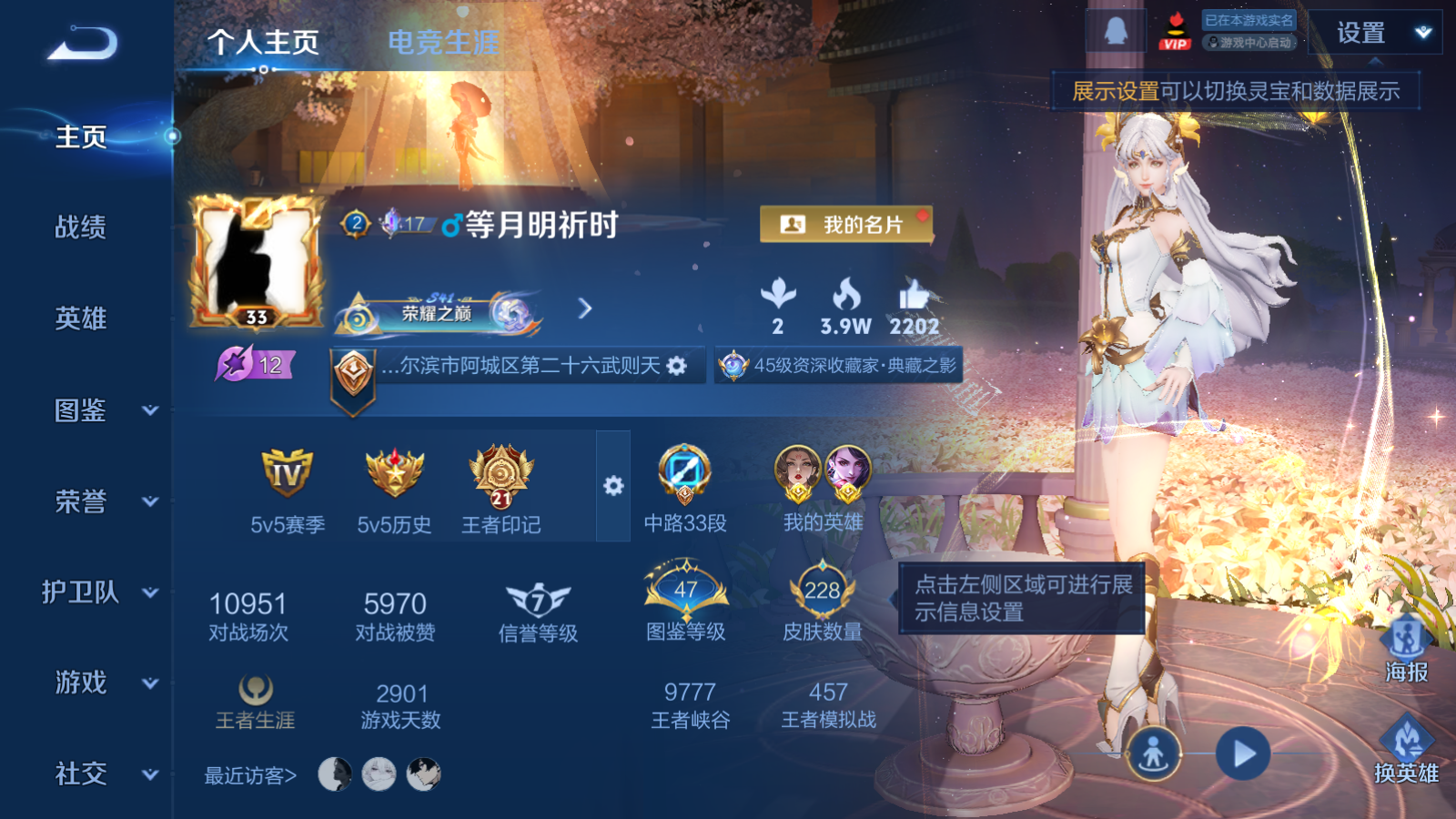 WZCMW458866王者荣耀账号详情图2