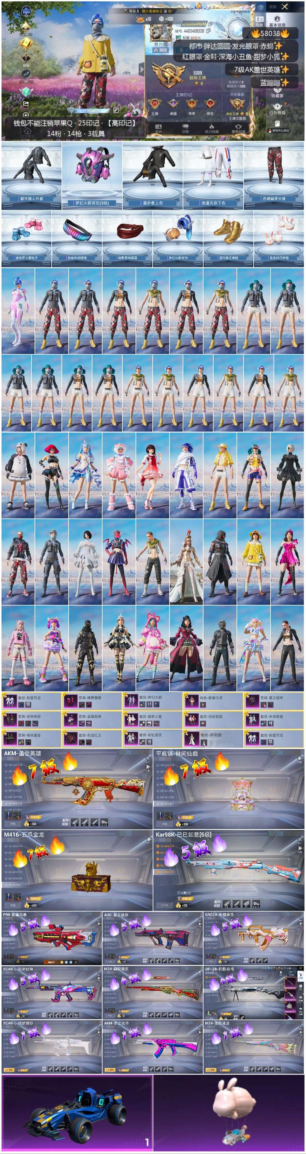 HPSJ436242和平精英账号详情图3