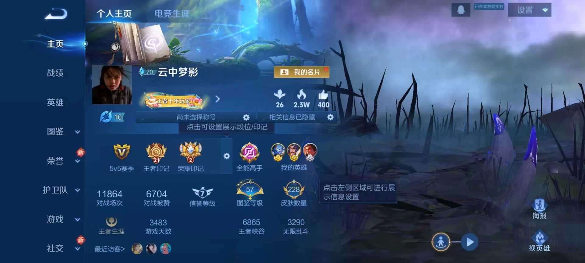 WZCMW457851王者荣耀账号详情图2