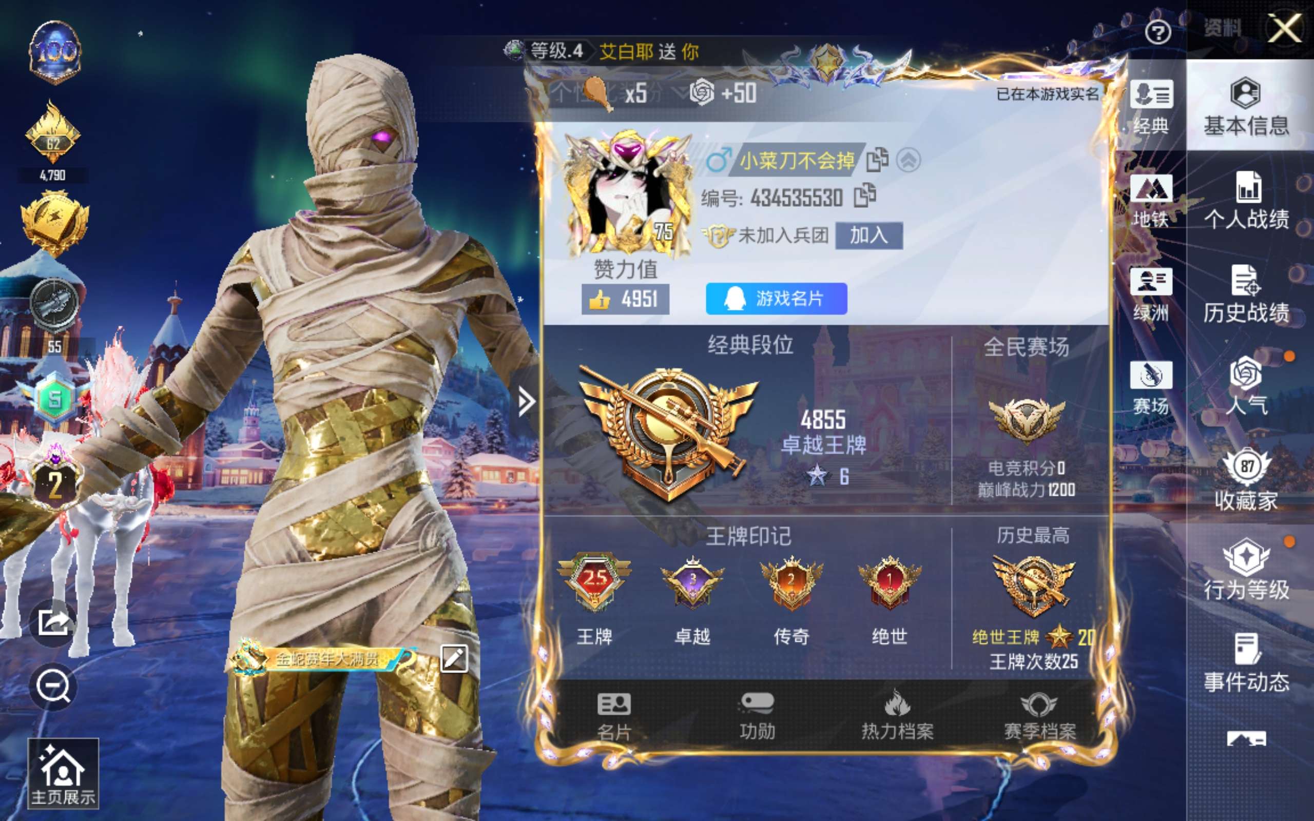 HPCMW435315和平精英账号详情图4