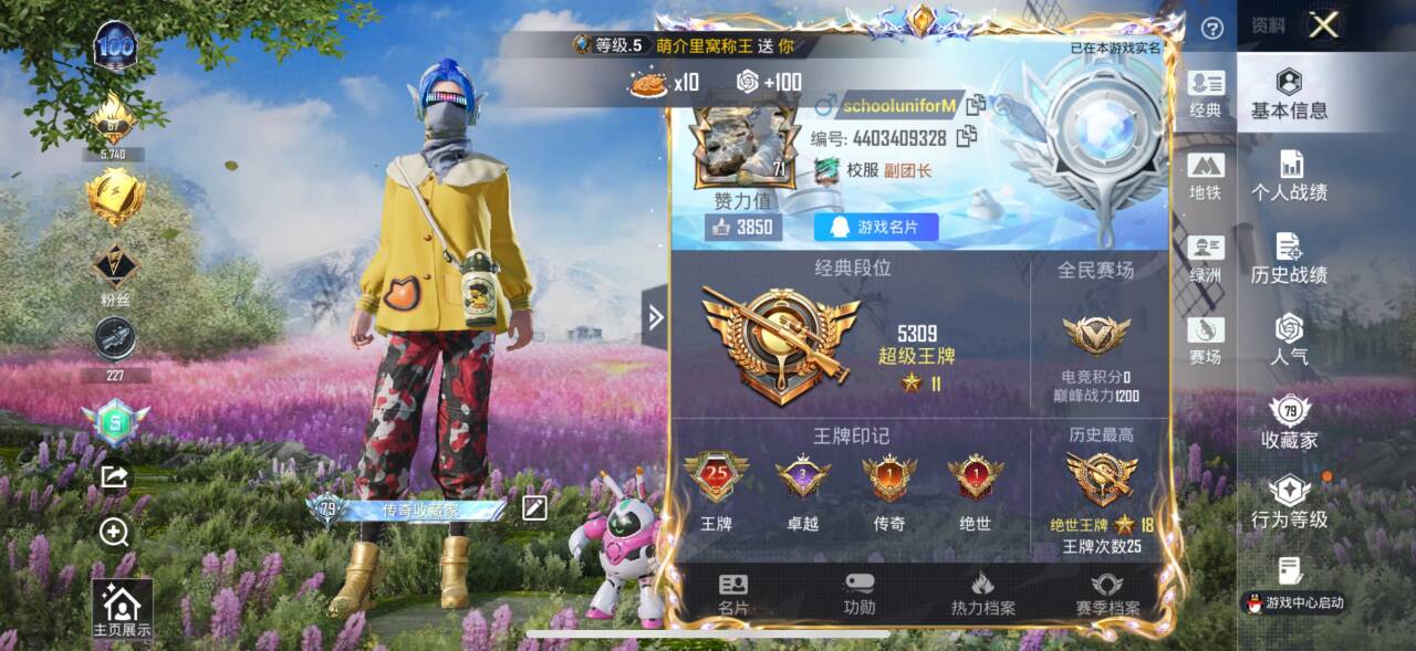 HPSJ436242和平精英账号详情图4