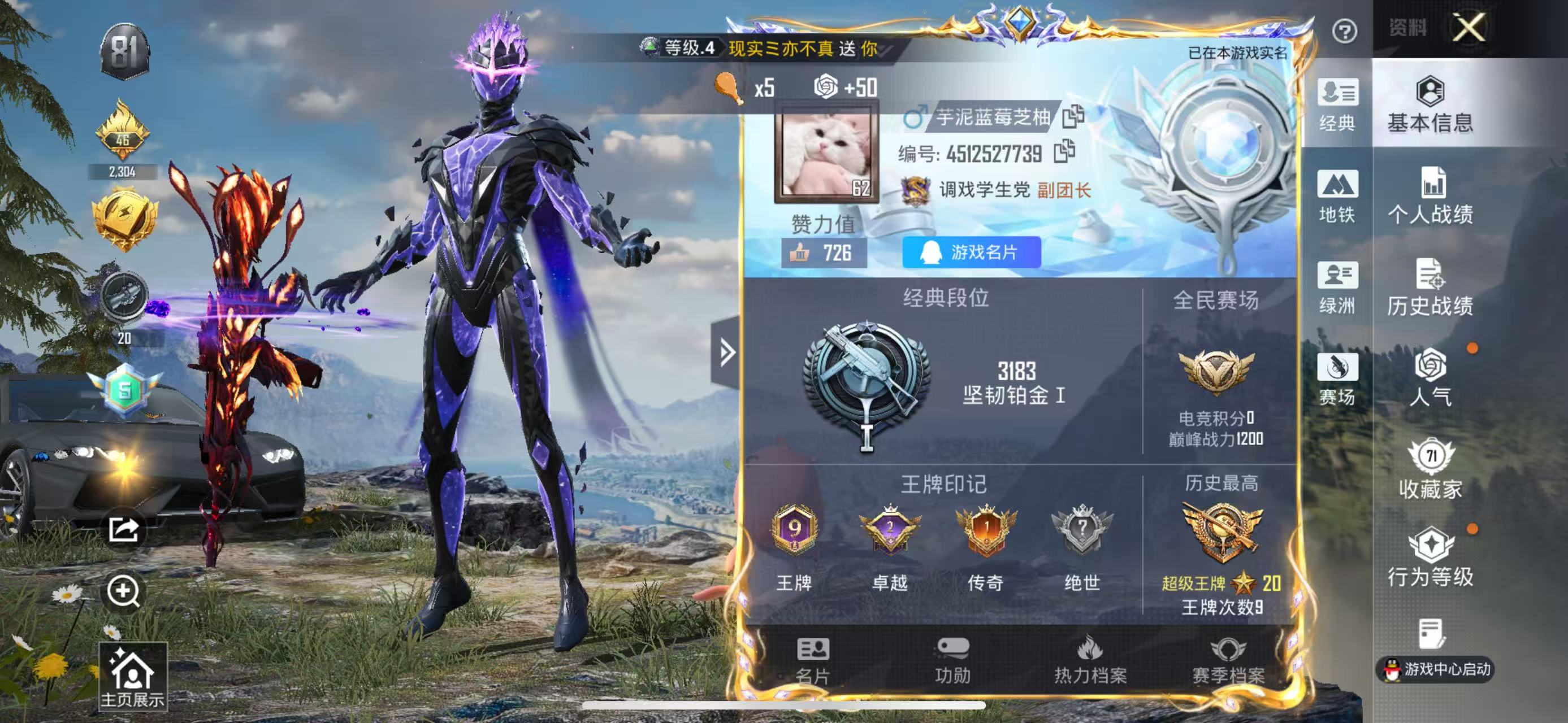 HPSJ431797和平精英账号详情图4