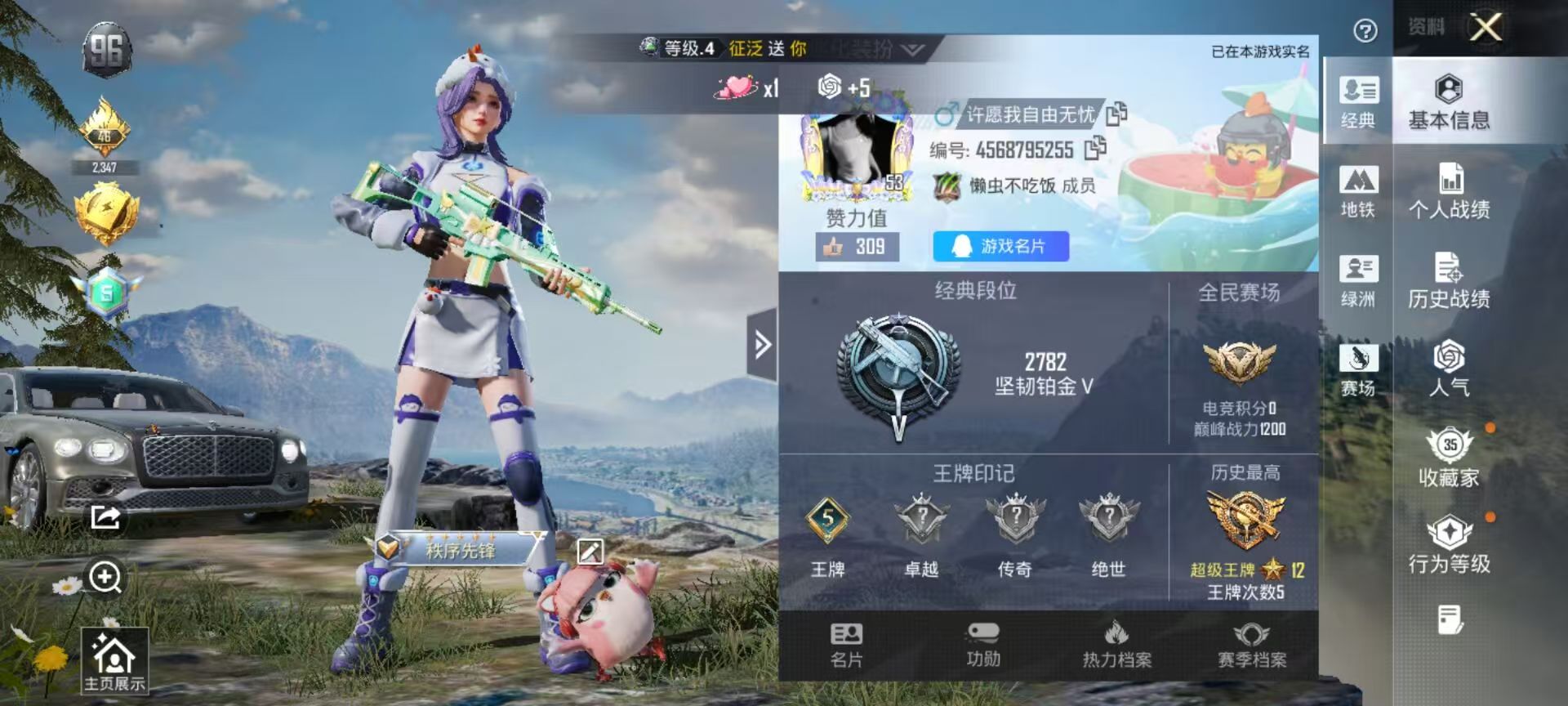 HPSJ433566和平精英账号详情图5