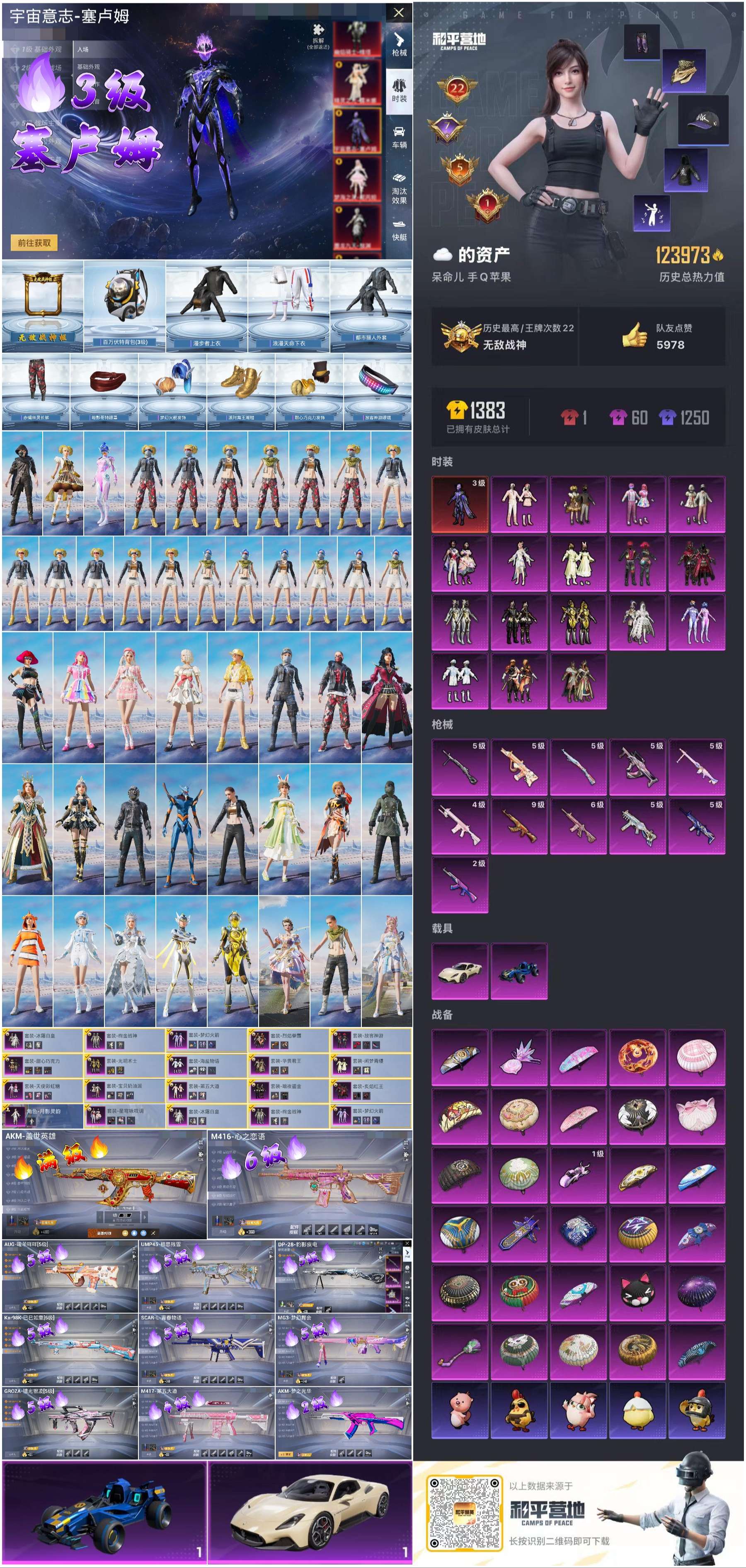 HPCMW433322和平精英账号详情图2