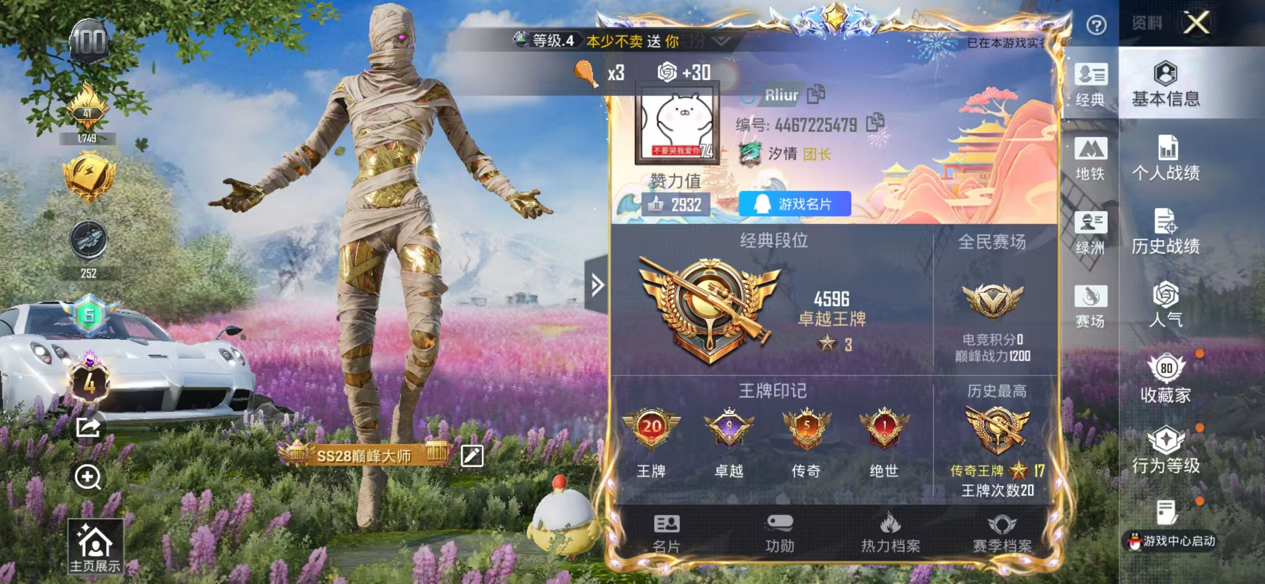 HPSJ434637和平精英账号详情图3