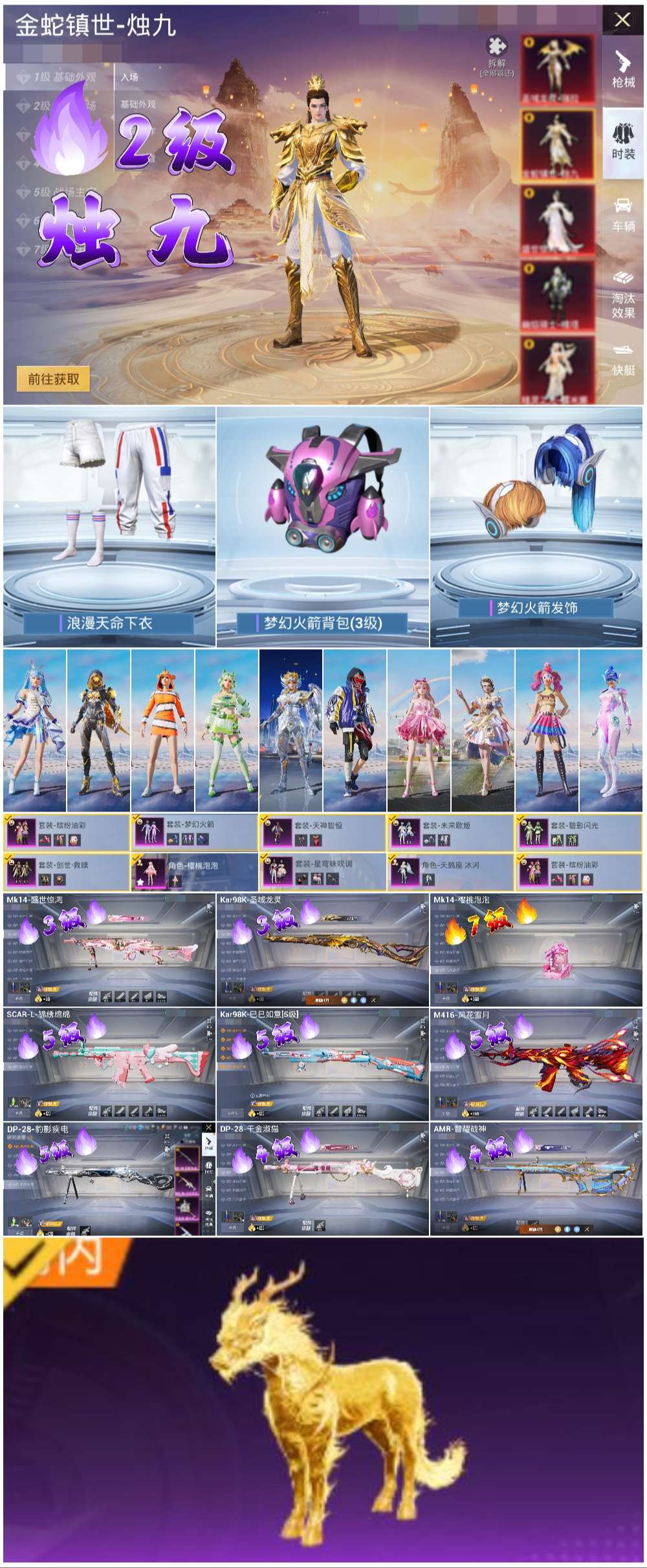 HPSJ434872和平精英账号详情图2