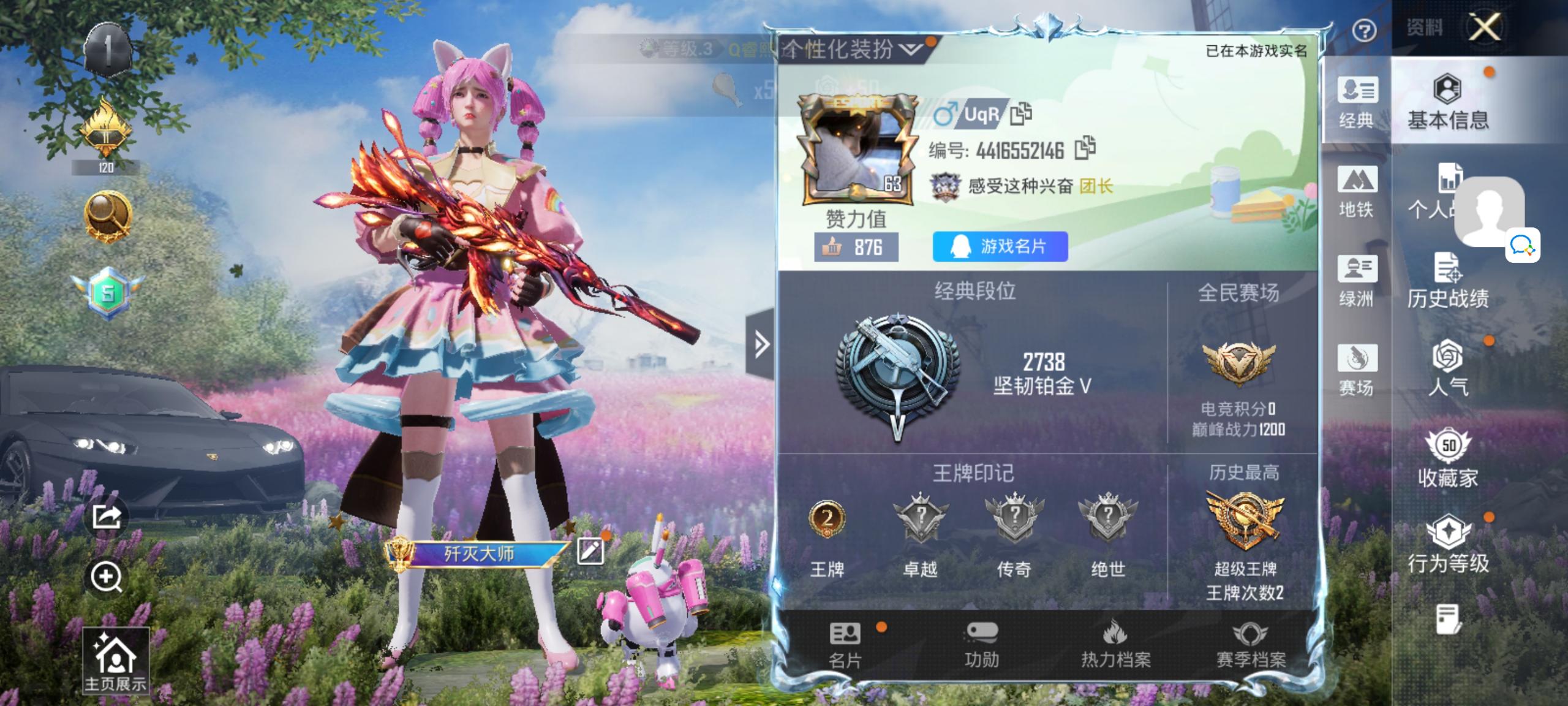 HPCMW410407和平精英账号详情图2