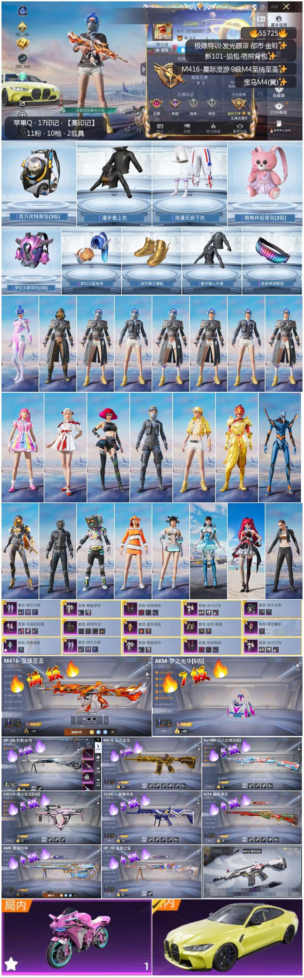 HPCMW410368和平精英账号详情图4