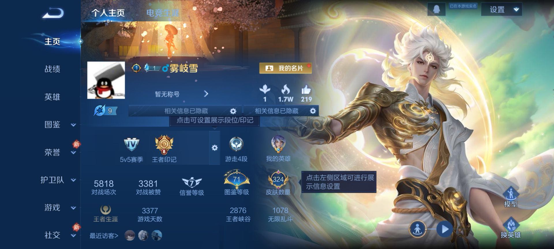 WZCMW478081王者荣耀账号详情图2