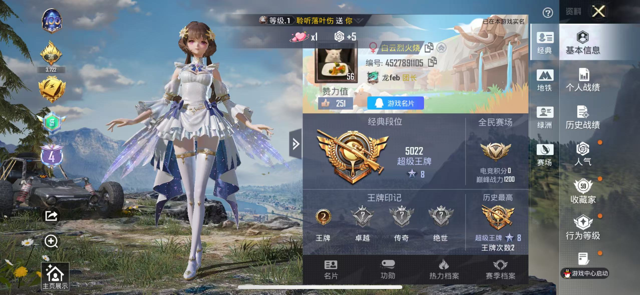 HPSJ440873和平精英账号详情图2