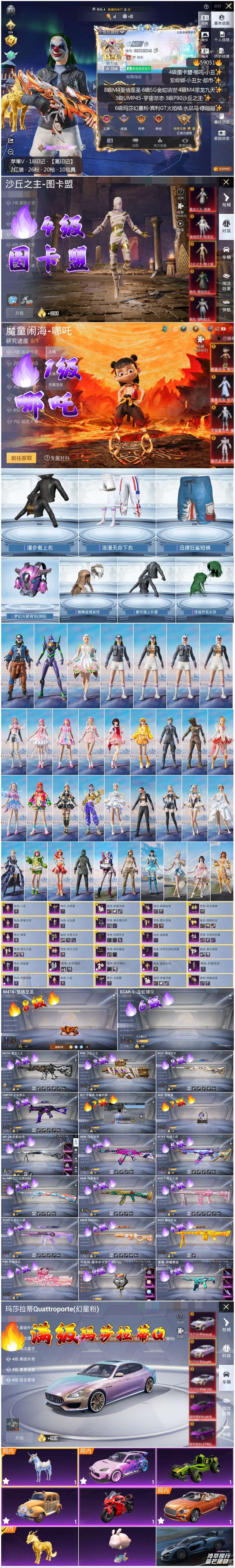 HPCMW443996和平精英账号详情图4