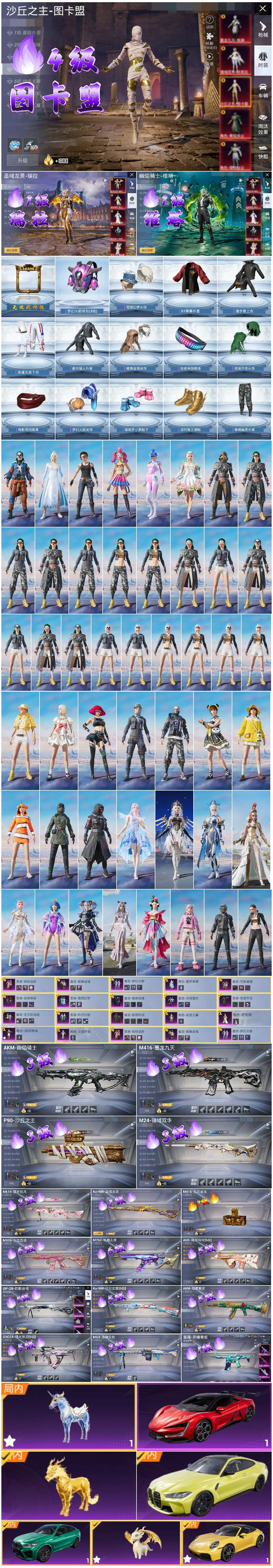 HPSJ444346和平精英账号详情图4