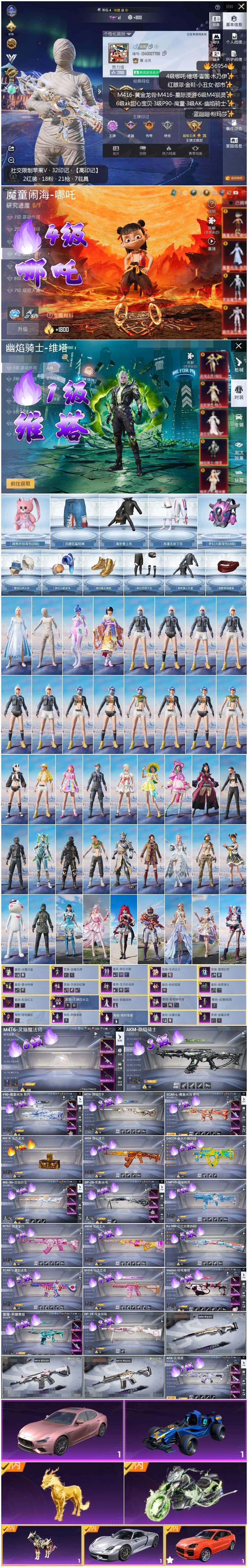 HPSJ443846和平精英账号详情图4