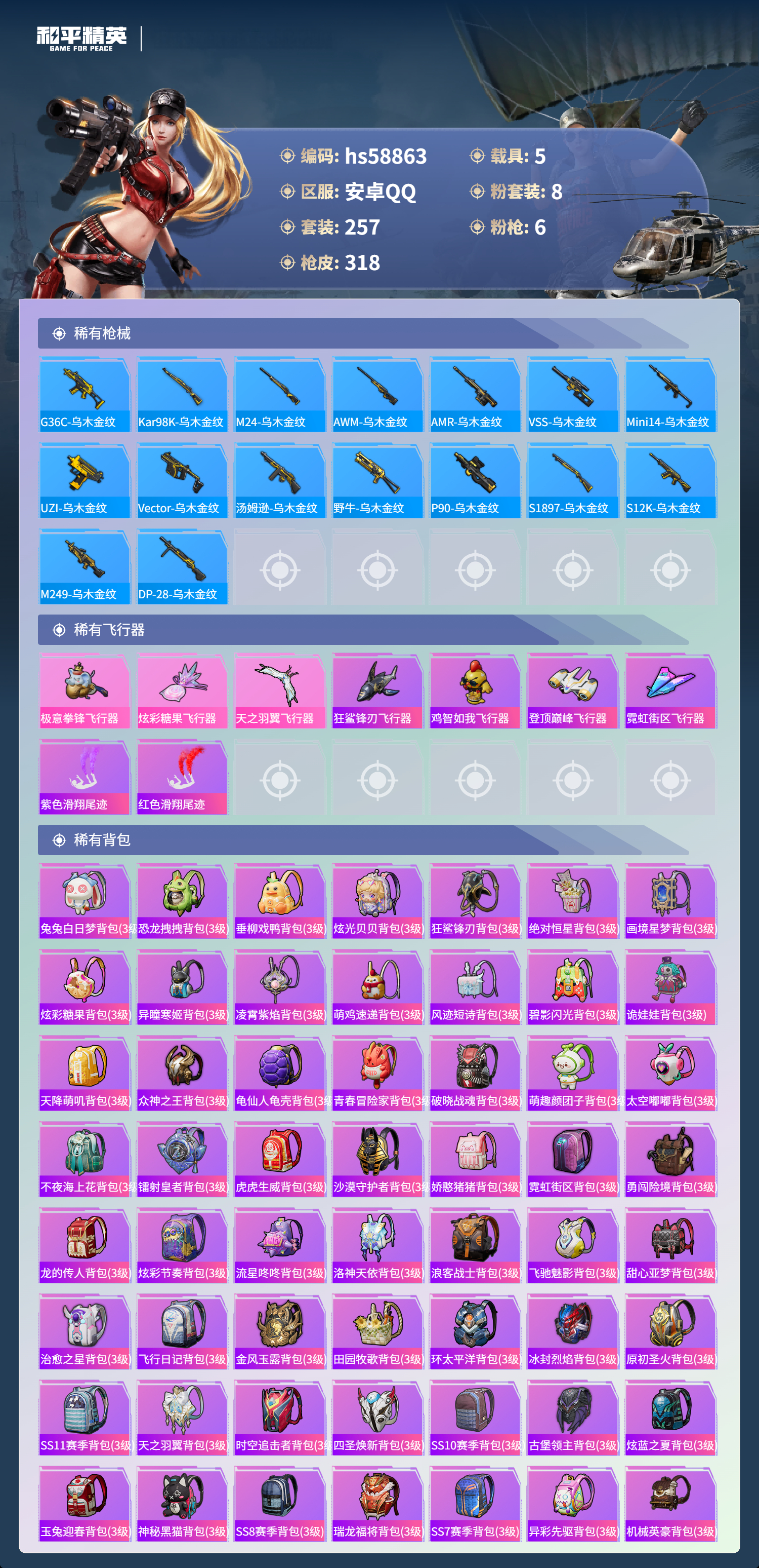 HPSJ445265和平精英账号详情图10