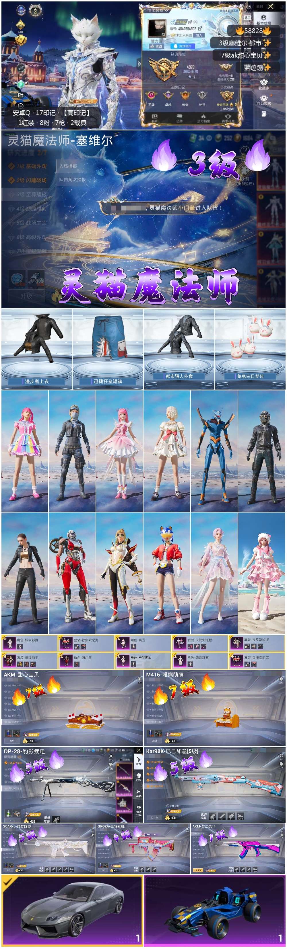 HPSJ445302和平精英账号详情图4