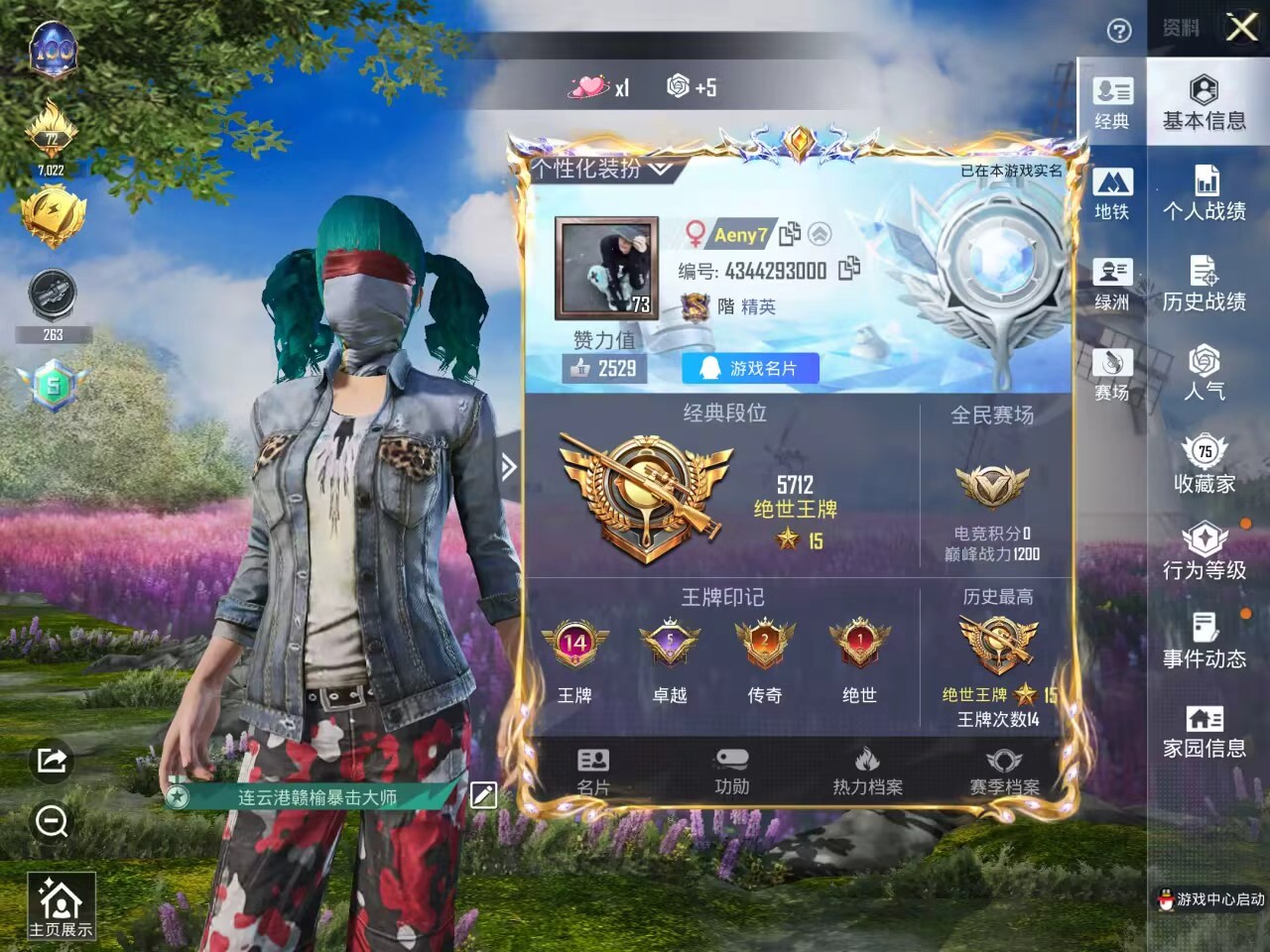 HPSJ445313和平精英账号详情图2