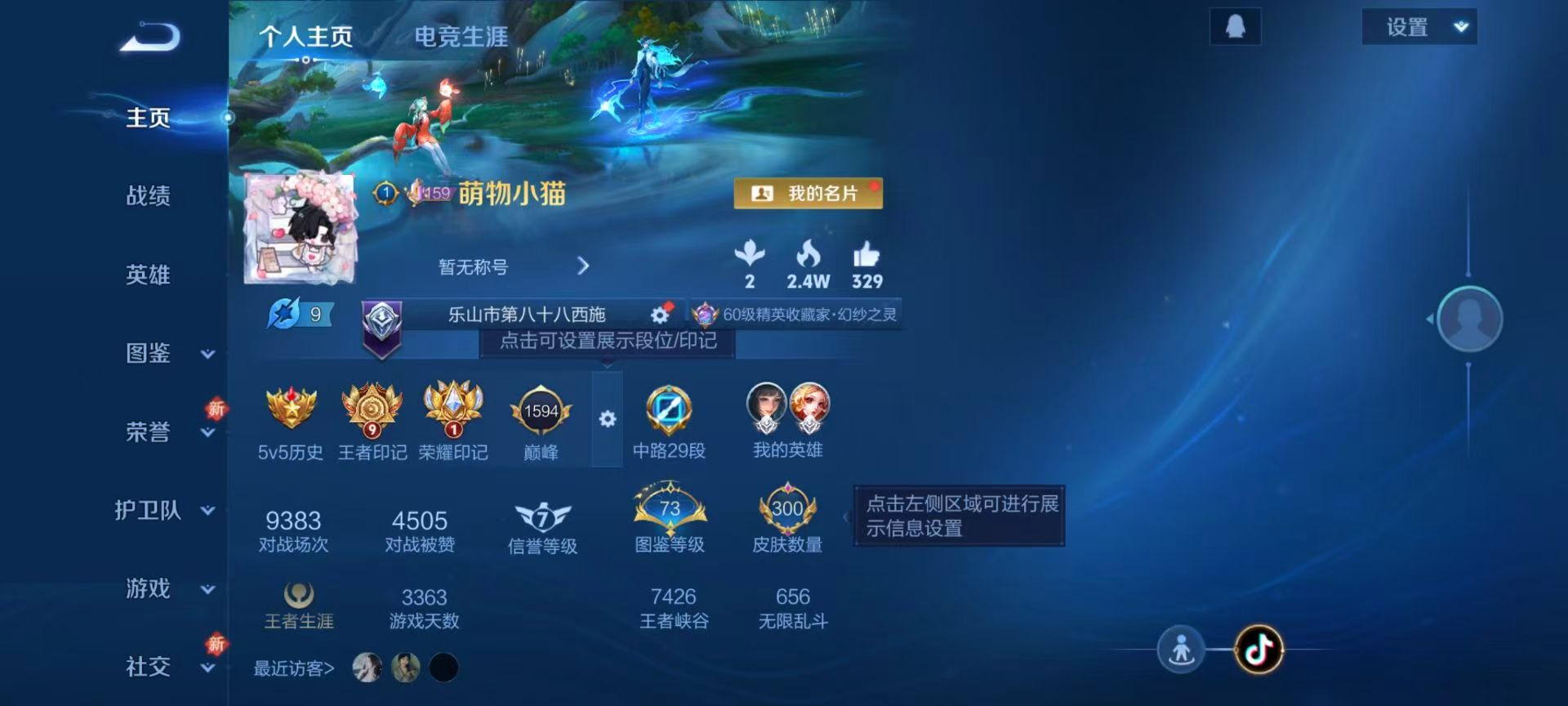 WZCMW486588王者荣耀账号详情图2