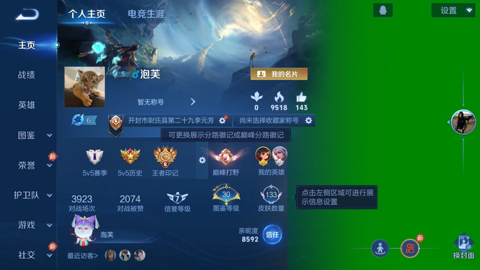 WZCMW494407王者荣耀账号详情图2