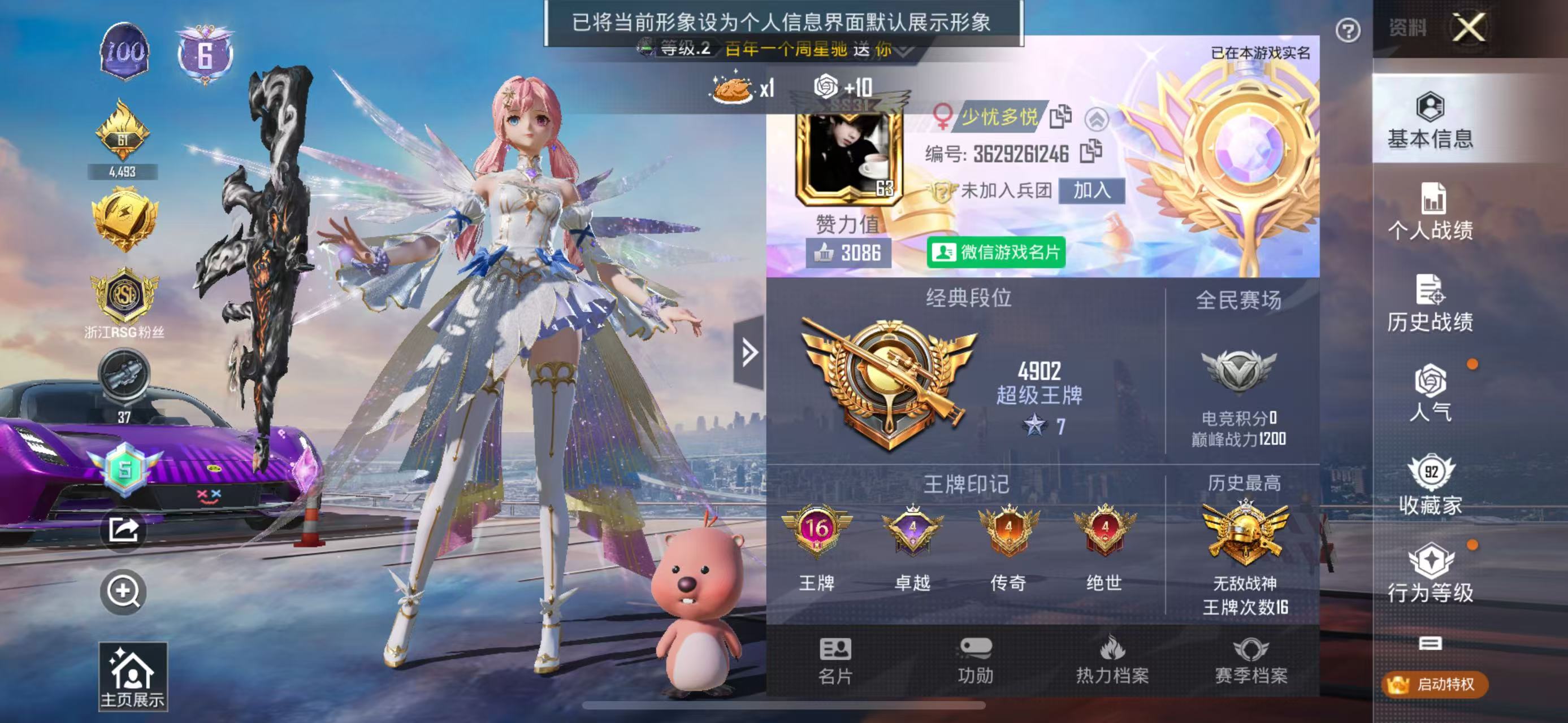 HPSJ447132和平精英账号详情图2