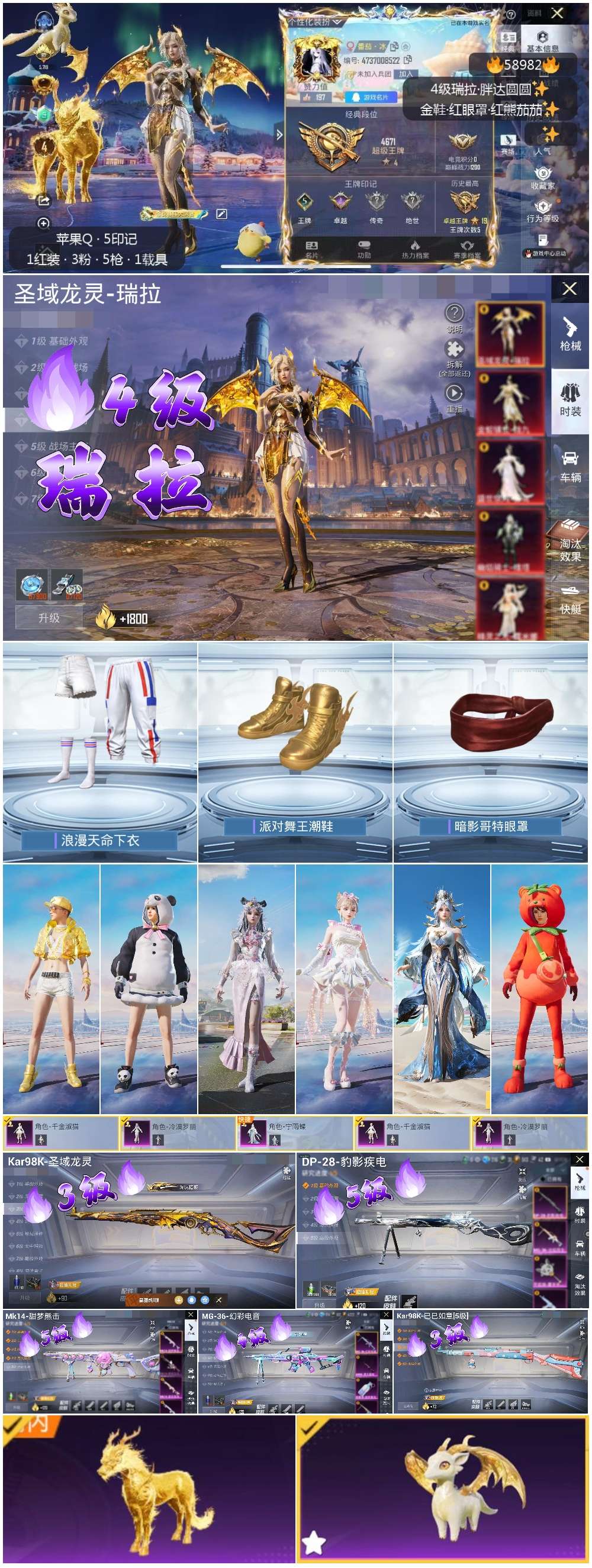 HPSJ446979和平精英账号详情图4