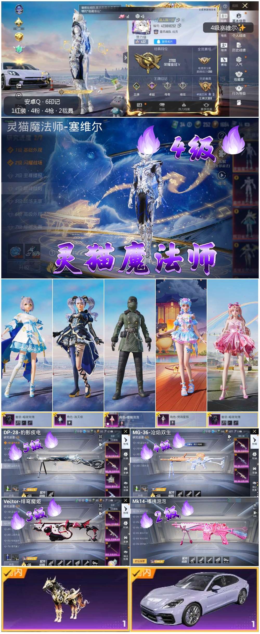 HPSJ449331和平精英账号详情图2