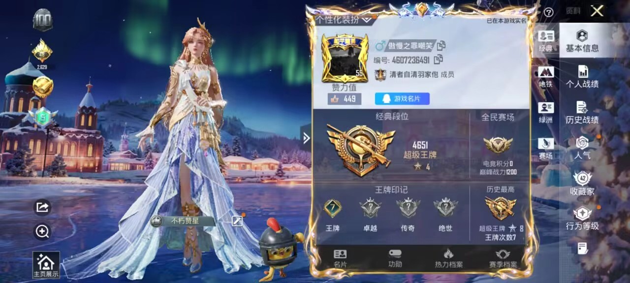 HPSJ449463和平精英账号详情图3