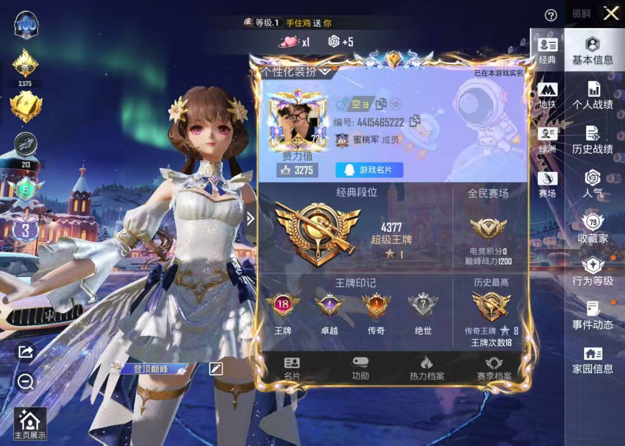 HPSJ410427和平精英账号详情图2