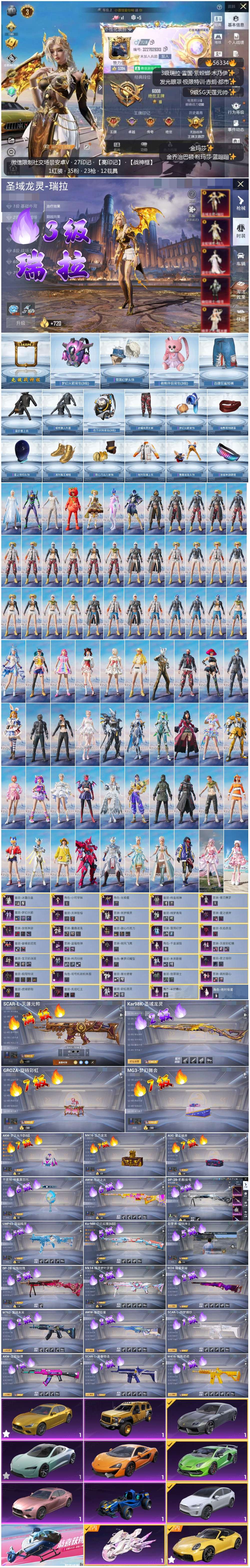 HPSJ45318和平精英账号详情图3