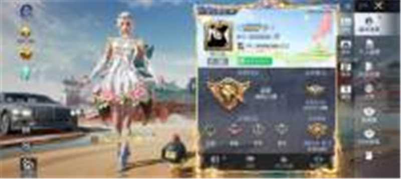 HPCMW452750和平精英账号详情图5