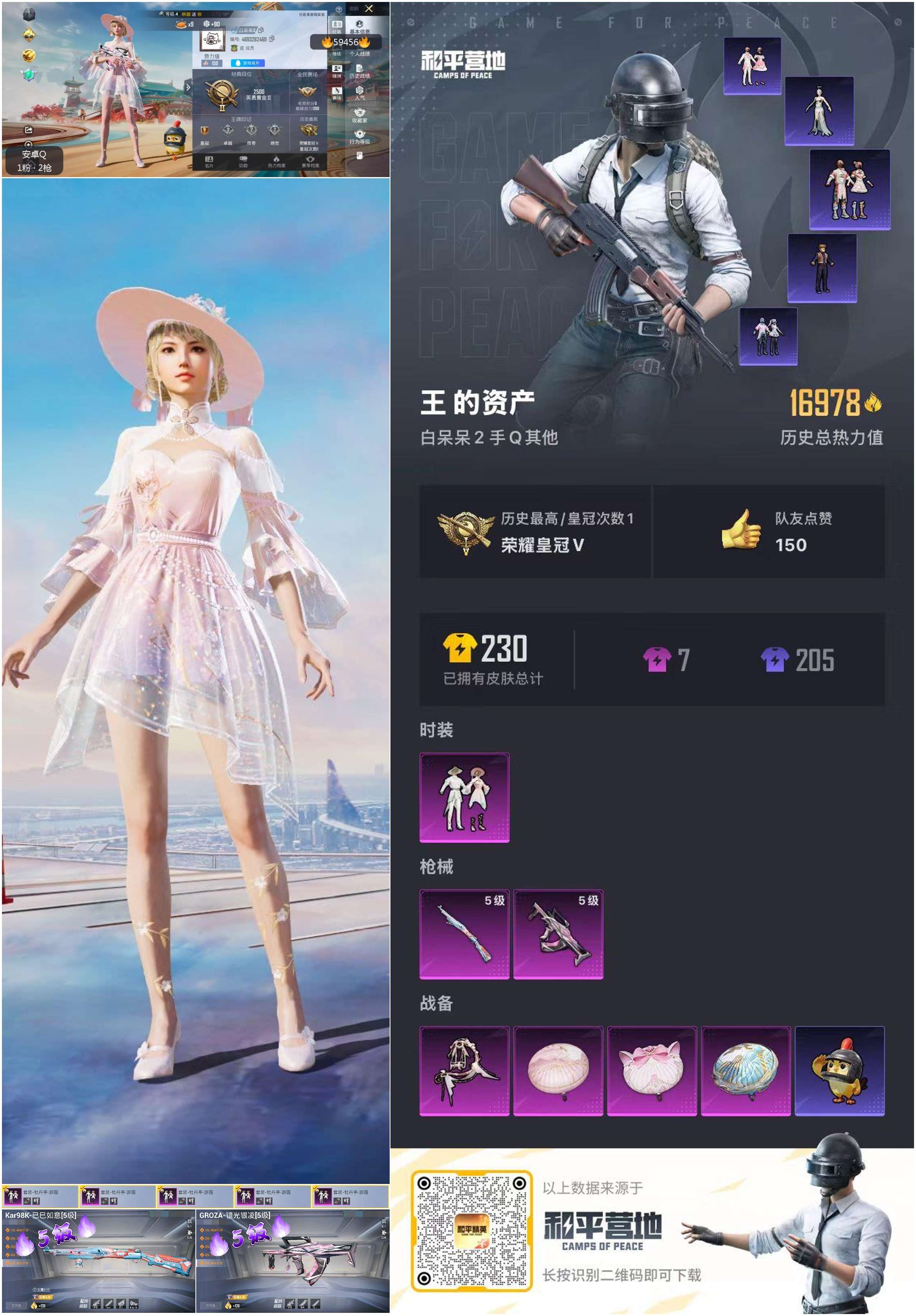 HPSJ453045和平精英账号详情图4