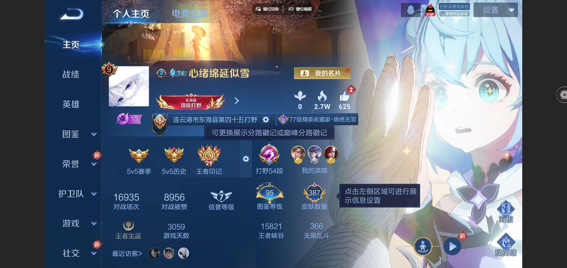 WZCMW428353王者荣耀账号详情图2