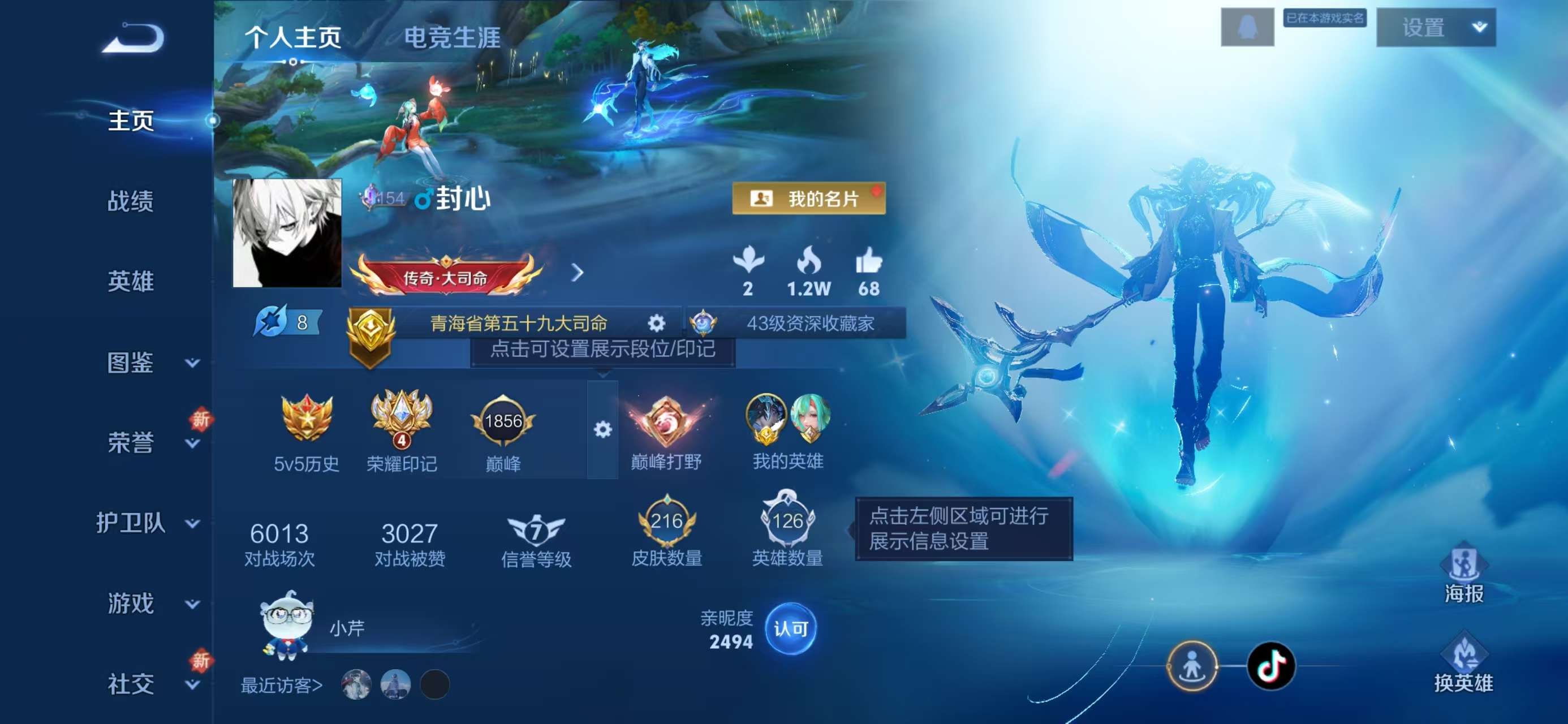 WZCMW416496王者荣耀账号详情图2