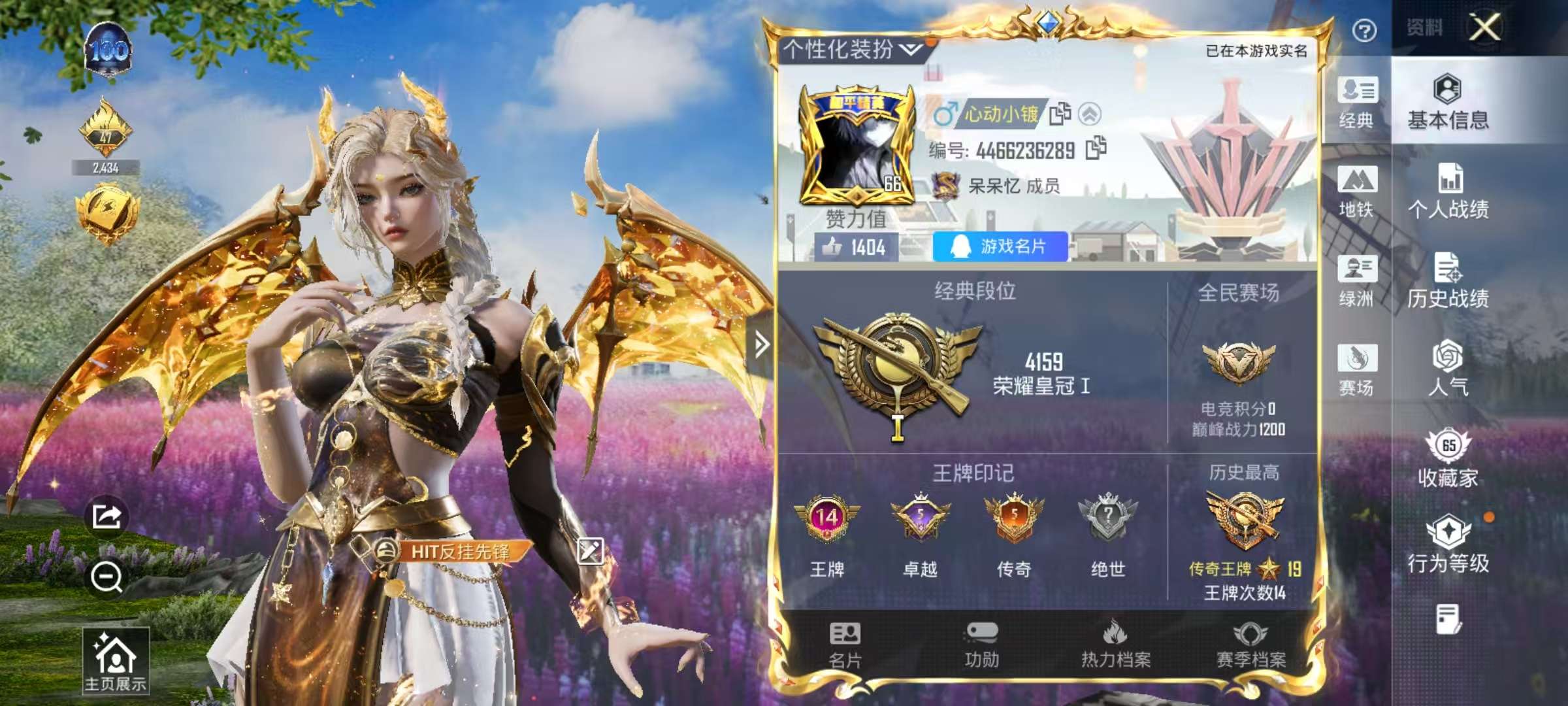 HPSJ46792和平精英账号详情图2