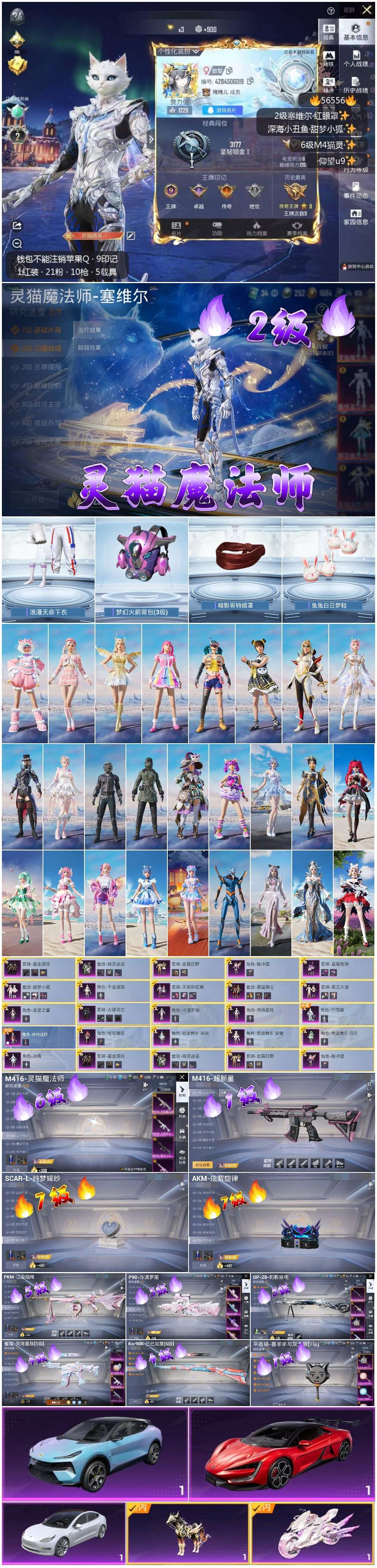 HPSJ413742和平精英账号详情图3