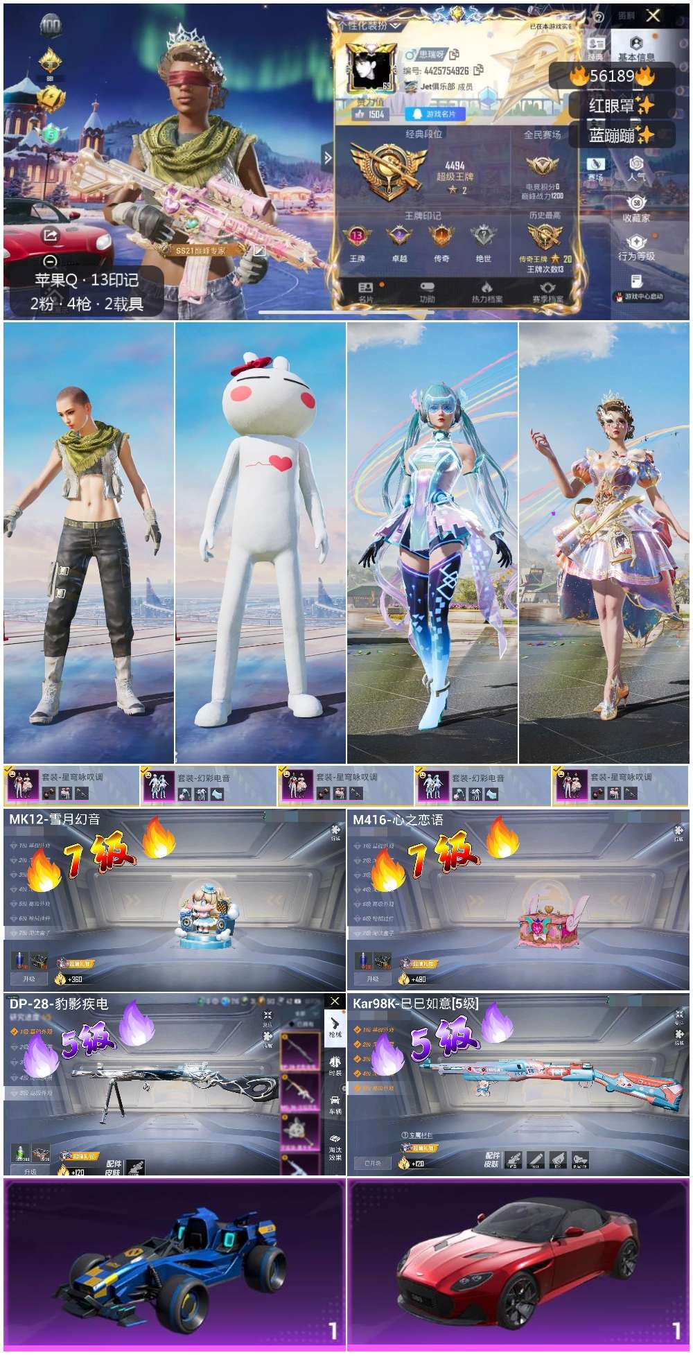 HPSJ48003和平精英账号详情图2