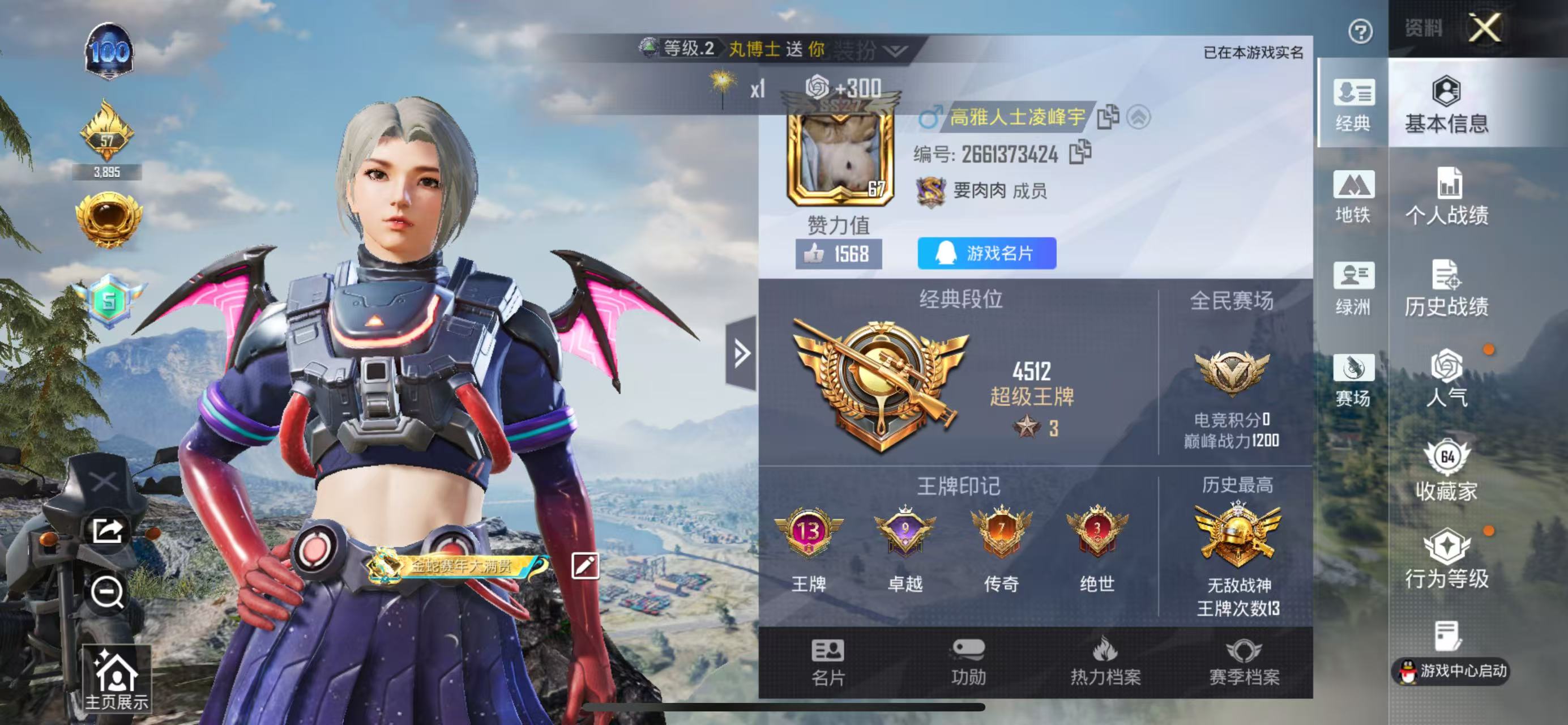 HPSJ47999和平精英账号详情图2