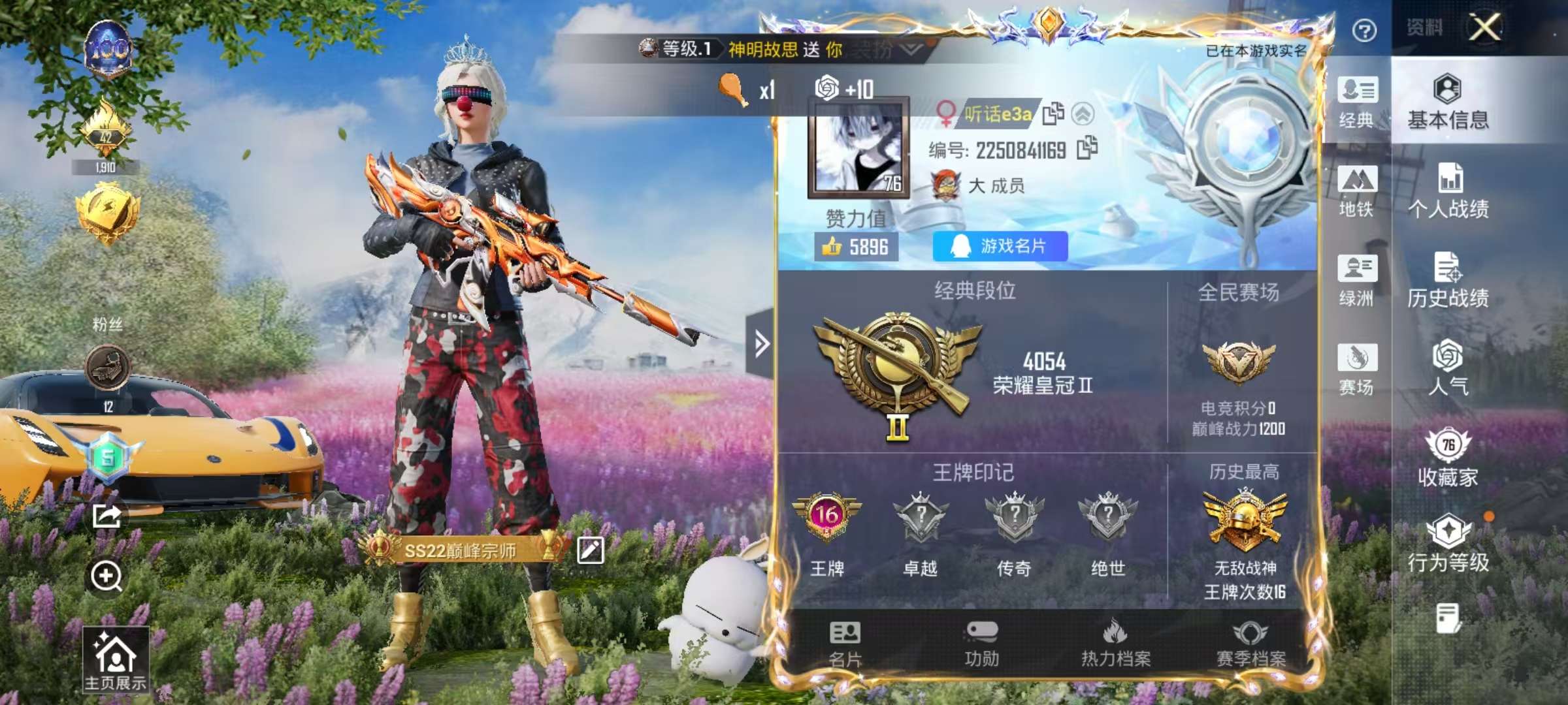 HPSJ413738和平精英账号详情图2