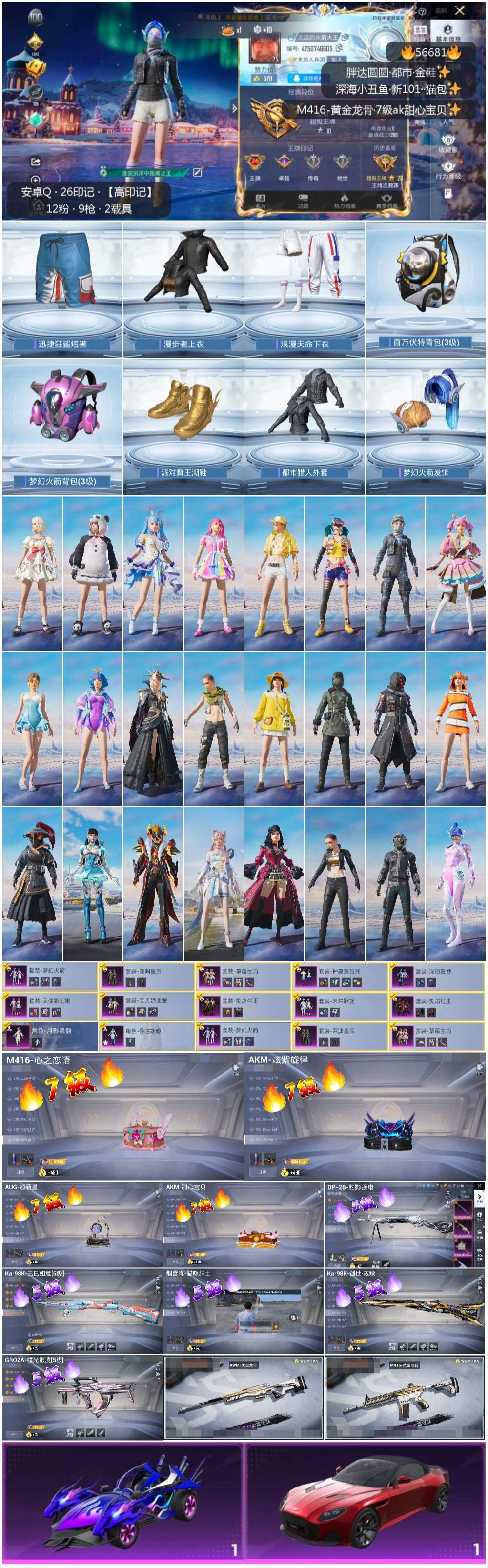 HPSJ415072和平精英账号详情图3