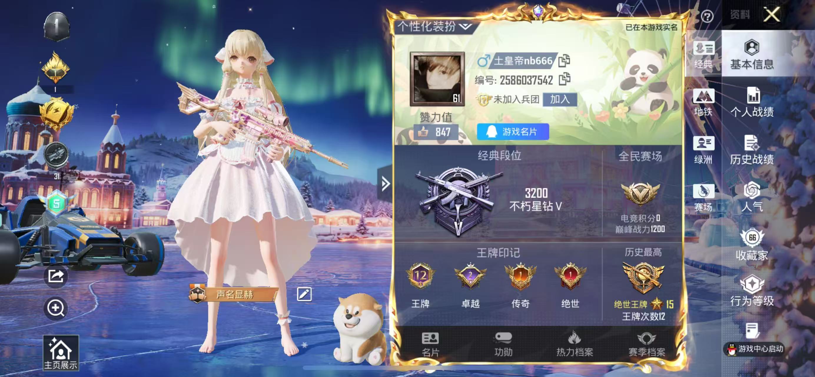 HPSJ410499和平精英账号详情图2