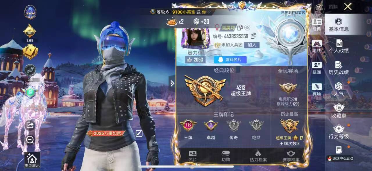 HPSJ410903和平精英账号详情图3