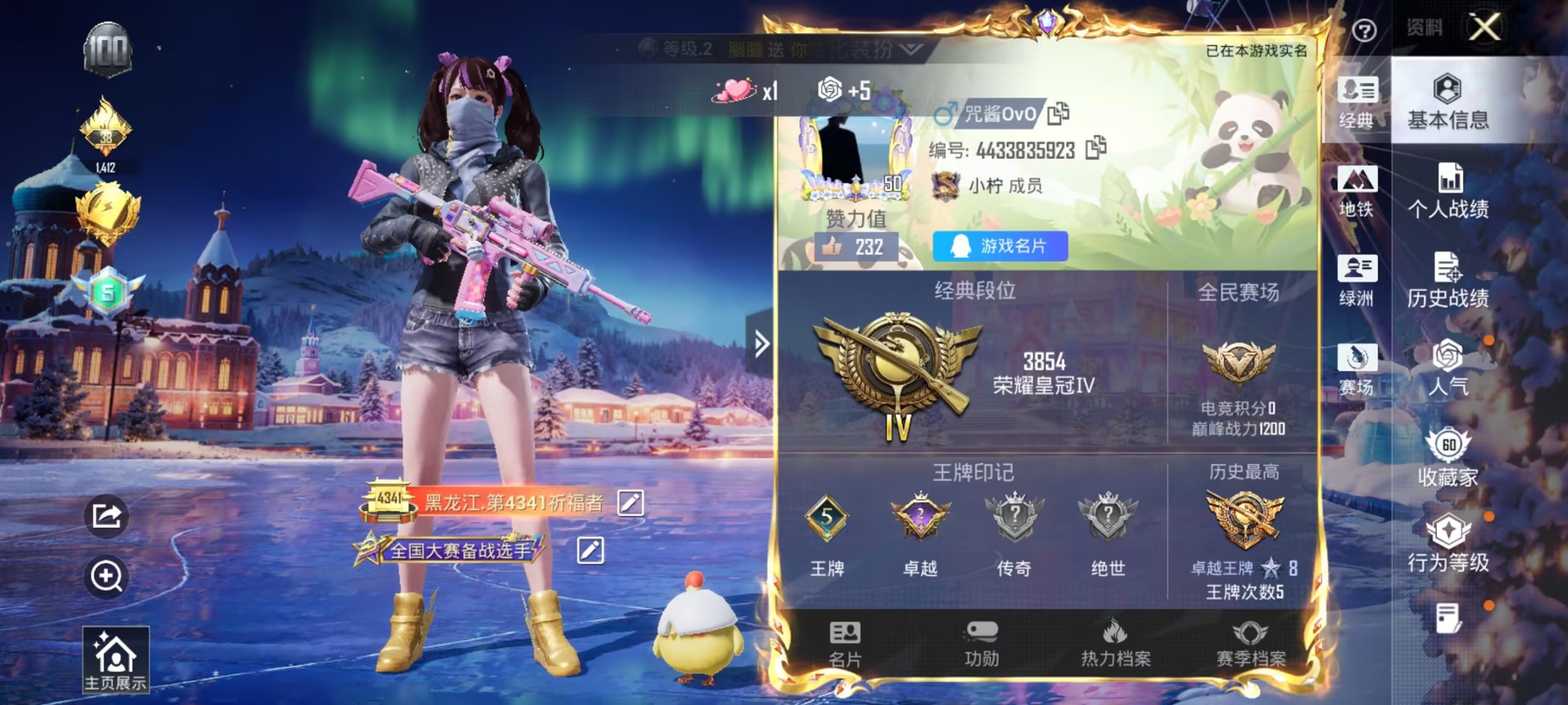 HPSJ412437和平精英账号详情图2