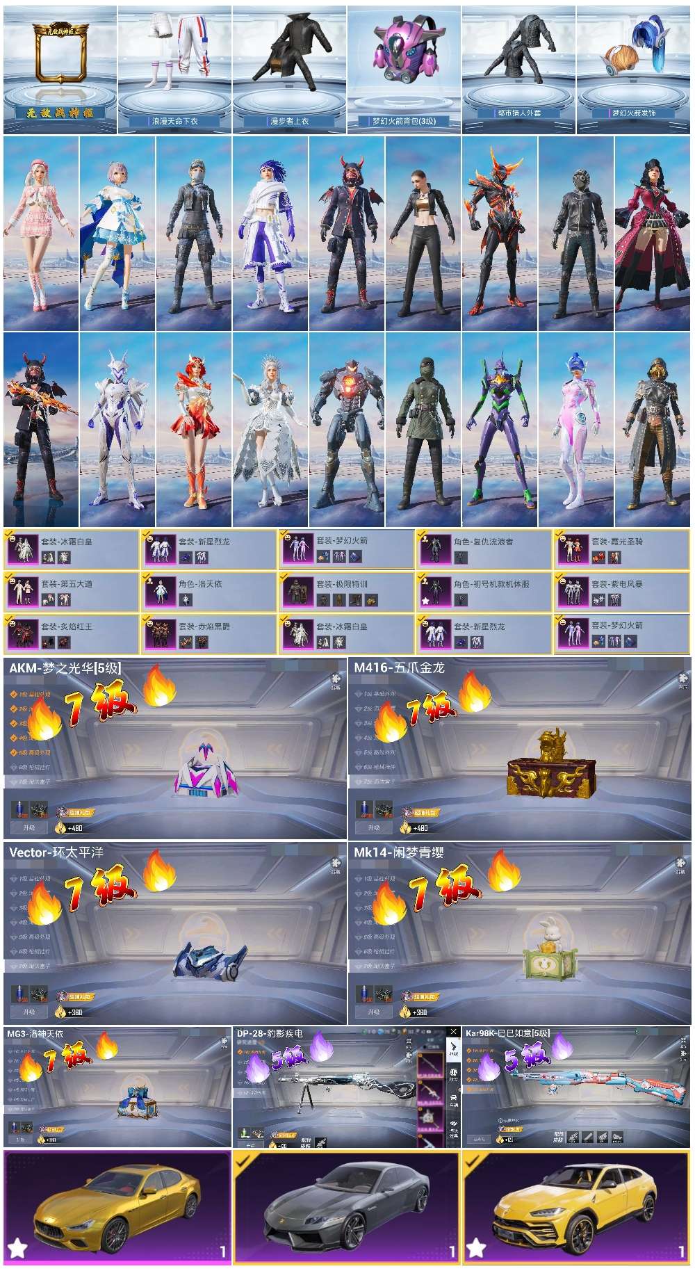 HPSJ417509和平精英账号详情图3 HPSJ417509和平精英账号详情图3